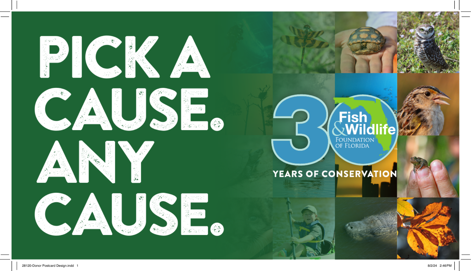 30th anniversary donor postcard